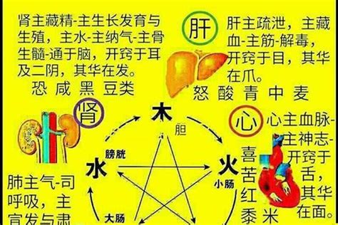 五行屬火名字|属火最吉利的五十个字 五行属火性的什么字最好大全